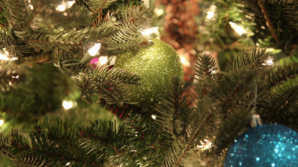 Recycle Christmas Lights Cincinnati 2022 Toledo Christmas Tree Recycling Begins December 27Th – Ohio Times